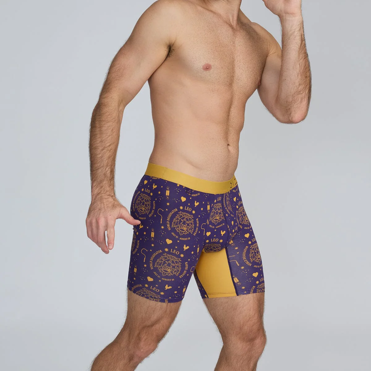 Boxer Brief - Leo - Image 3