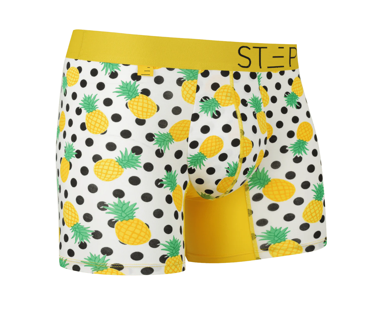 Trunk - Passionate Pineapples - Image 2